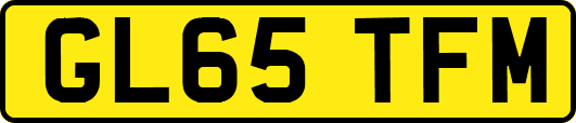 GL65TFM
