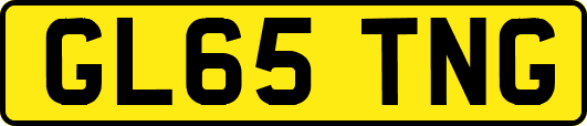 GL65TNG