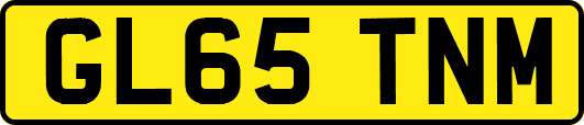 GL65TNM