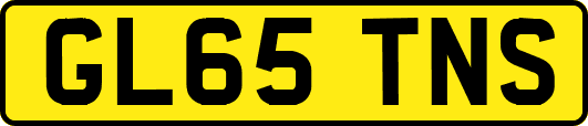 GL65TNS