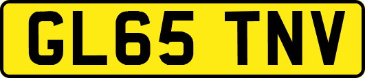 GL65TNV