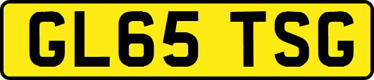 GL65TSG