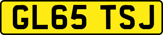 GL65TSJ