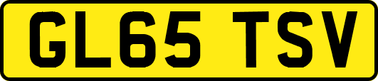 GL65TSV