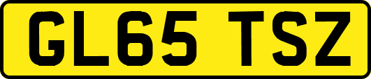 GL65TSZ