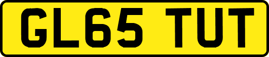 GL65TUT