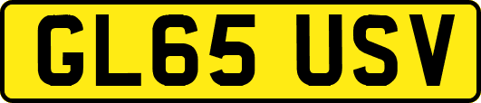 GL65USV