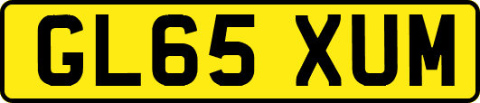 GL65XUM