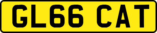 GL66CAT