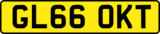 GL66OKT