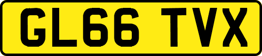 GL66TVX