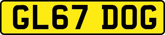 GL67DOG