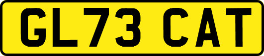 GL73CAT