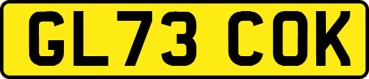 GL73COK