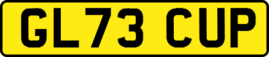 GL73CUP