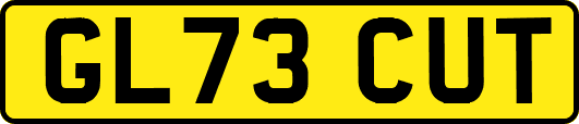 GL73CUT