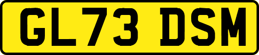 GL73DSM
