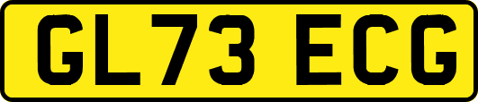 GL73ECG