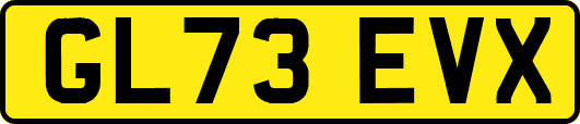 GL73EVX
