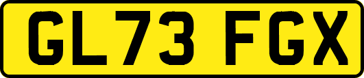 GL73FGX