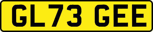 GL73GEE