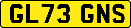 GL73GNS
