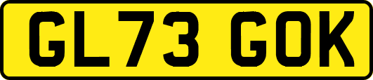 GL73GOK