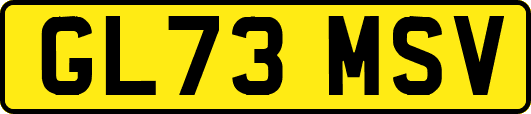 GL73MSV