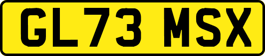 GL73MSX