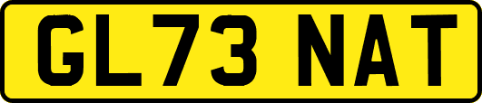 GL73NAT