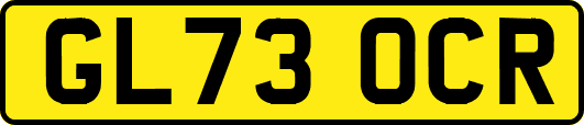 GL73OCR