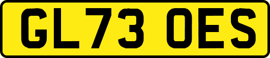 GL73OES