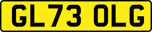 GL73OLG