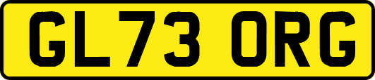 GL73ORG