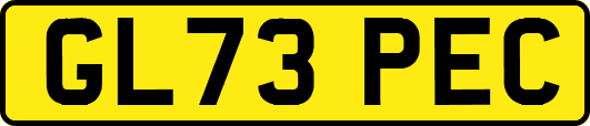 GL73PEC