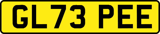 GL73PEE