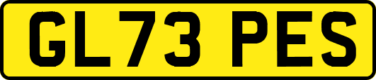 GL73PES