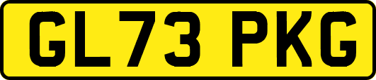 GL73PKG