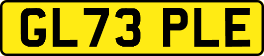 GL73PLE