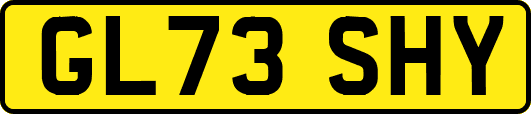 GL73SHY