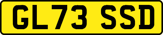 GL73SSD