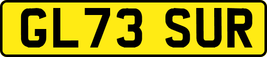 GL73SUR