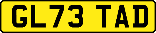 GL73TAD