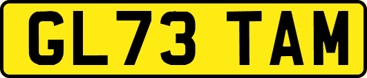 GL73TAM