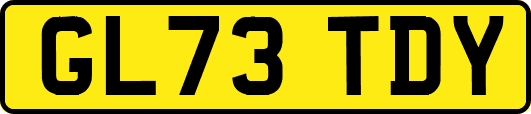 GL73TDY