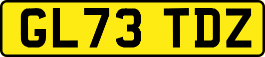 GL73TDZ