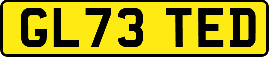 GL73TED