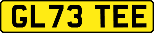 GL73TEE