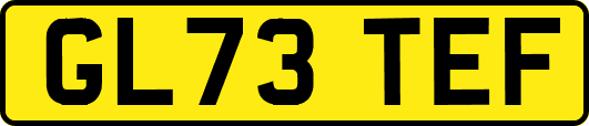 GL73TEF