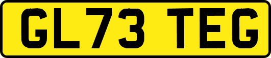 GL73TEG